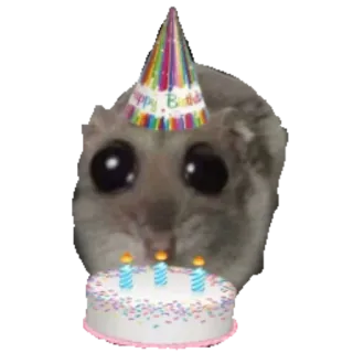 🍰 Happy Birthday hamster, birthday, cute, cake, party, animal, celebration telegram sticker