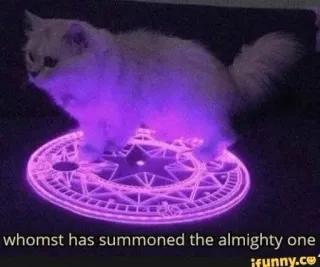 🧐 whomst has summoned the almighty one chat, invocation, magie, mème, drôle, animal de compagnie telegram sticker