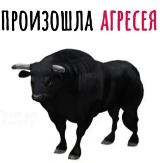 😡 ПРОИЗОШЛА АГРЕСЕЯ telegram sticker