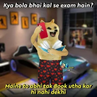 🤔 Doge Kya bola bhai kal se exam hain? Maine to abhi tak Book utha kar hi nahi dekhi doge, exam, student, funny, meme, studying, lazy telegram sticker