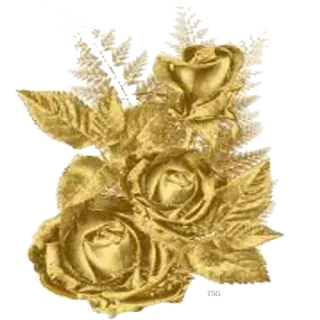 🌼 flores, rosas, dourado, floral, buquê, natureza, planta telegram sticker
