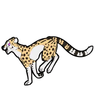 🐈 chita, animal, malhado, gato, correndo, peludo, desenho animado telegram sticker