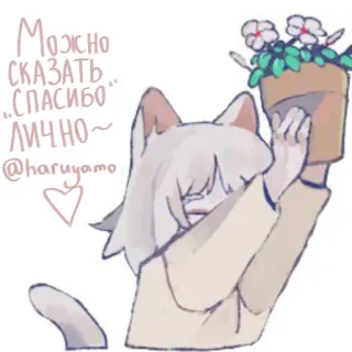 🌸 Можно сказать "СПАСИБО" ЛИЧНО~ 
@haruyamo แมว, อนิเมะ, ขอบคุณ, ดอกไม้, สวัสดี telegram sticker