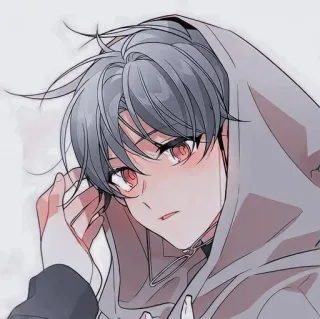 💨 Anime, Con trai, Áo hoodie, Mắt đỏ, Phim hoạt hình, Tóc xám whatsapp sticker