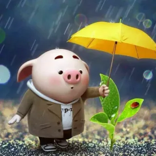 🐷 돼지, 우산, 만화, 비, 귀여운, 동물 telegram sticker