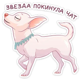 🌟 ЗВЕЗДА ПОКИНУЛА ЧАТ cachorro, estrela, chihuahua, saindo, chat, adesivo whatsapp sticker