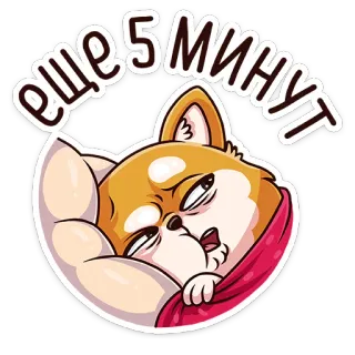 😴 ЕЩЕ 5 МИНУТ anjing, mengantuk, lelah, malas, prokrastinasi, kartun whatsapp sticker