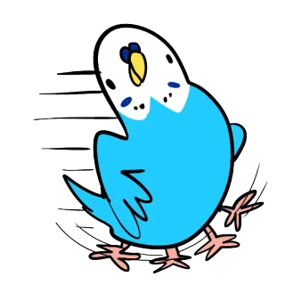 🏃 burung, parkit, imut, hewan, kartun, biru, hewan peliharaan telegram sticker