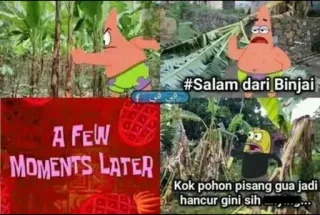 🖐 Patrick Star Spongebob Squarepants #Salam dari Binjai
A FEW
MOMENTS LATER
Kok pohon pisang gua jadi
hancur gini sih Binjai, banana tree, meme, Spongebob, Patrick, cartoon telegram sticker