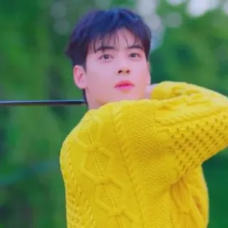 😎 Cha Eun-woo coreano, attore, golf, giallo, maglione telegram sticker