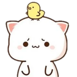 🍼 gato, gatinho, pássaro, fofo, kawaii, animal, animal de estimação telegram sticker