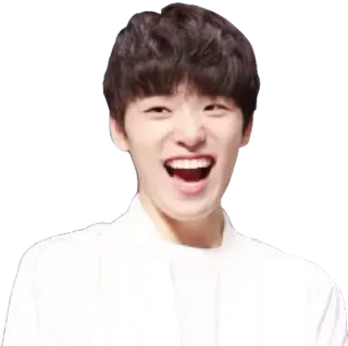 😆 telegram sticker
