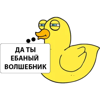 ✨ ДА ТЫ 
ЕБАНЫЙ 
ВОЛШЕБНИК Cartoon, Ente, Beleidigend, Russisch, Beleidigung, Slang whatsapp sticker
