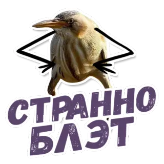 🤓 СТРАННО
БЛЭТ bird, sticker, russian, offensive whatsapp sticker