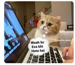 😳 Waah bc Esa bhi Hota hai kot, mem, pisanie, komputer, laptop, internet telegram sticker