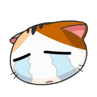 😭 고양이, 슬픈, 울음, 이모지, 스티커, 귀여운 telegram sticker