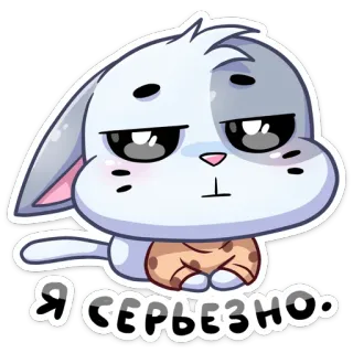😐 Я СЕРЬЕЗНО. konijn, schattig, dier, sticker, konijntje telegram sticker