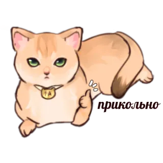 👍 прикольно แมว, ตลก, สัตว์, นิ้วกลาง telegram sticker