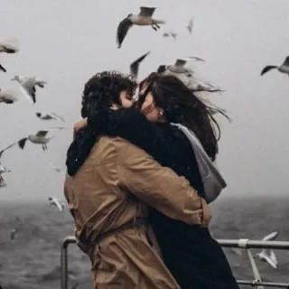 👩‍❤️‍👨 casal, beijo, amor, romance, afeição, relacionamento, aves marinhas, oceano telegram sticker