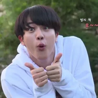 🐹 Jin 엄지 척 
오~~~ kpop, thích, chấp thuận, dễ thương, meme, jin, Hàn Quốc telegram sticker