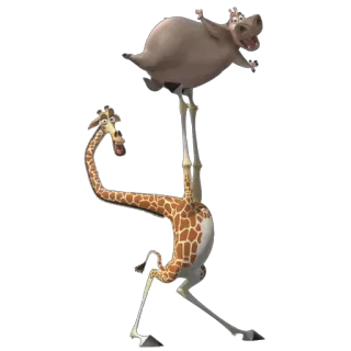 👫 giraffa, ippopotamo, animazione, cartone animato telegram sticker