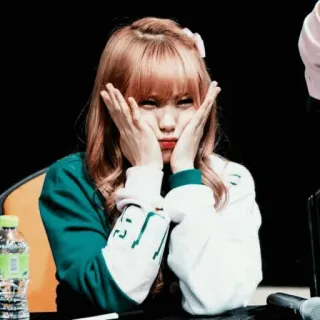 🌸 女性, K-POP, 歌手, アイドル, ポートレート, アジア人, 若い, 可愛い telegram sticker