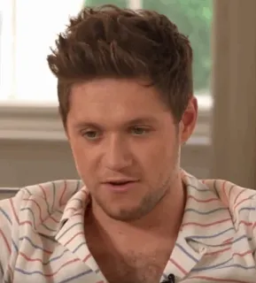 🎸 Niall Horan Niall Horan, One Direction, Cantor, Celebridade, Músico telegram sticker