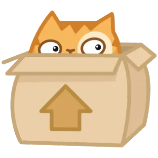 📦 cat, box, cute, cartoon telegram sticker