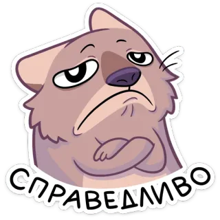 ☹️ Справедливо desenho animado, animal, adesivo, cínico, expressão, urso telegram sticker