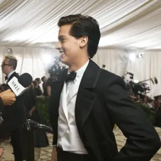 ❄ Cole Sprouse ator, roupa formal, retrato, Met Gala, homem whatsapp sticker