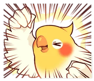 🙌 pássaro, calopsita, fofo, animado, desenho animado, anime, adesivo telegram sticker