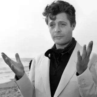 😌 ator, retrato, preto e branco, italiano, Marcello Mastroianni, Hollywood clássico, vintage telegram sticker