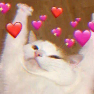 ❤️ cat, hearts, cute, animal, love telegram sticker