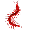 🐛