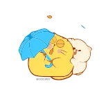 ☔️ cat, umbrella, cute, kawaii, animal, cartoon telegram sticker