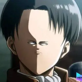 📎 Levi Ackerman Attack on Titan Anime, Meme, Divertente, L'Attacco dei Giganti, Levi, Levi Ackerman whatsapp sticker