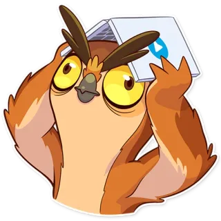 👀 burung hantu, kartun, bingung, laptop, hewan telegram sticker
