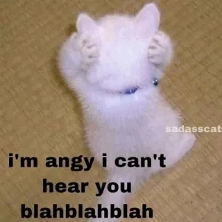 🙉 I'm angy i can't hear you blahblahblah Katze, wütend, Kätzchen, Meme, lustig, Tier telegram sticker