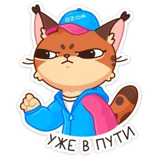 🏃‍♂️ УЖЕ В ПУТИ Katze, Cartoon, Tier, Ozon, Hut whatsapp sticker