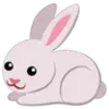🐰