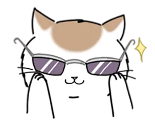 😎 gatto, occhiali da sole, cool, animale, adesivo telegram sticker