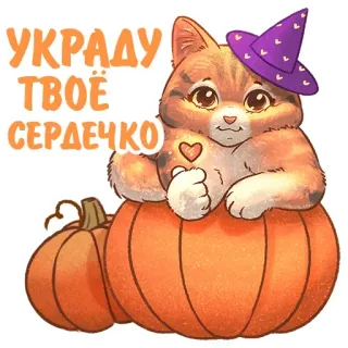 ❤ УКРАДУ ТВОЁ СЕРДЕЧКО Katze, Kürbis, niedlich, Halloween, Herbst, Hexenhut, Herz, Sticker telegram sticker