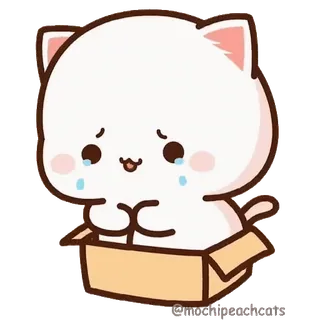 😭 gato, gatito, triste, llorando, caja, dibujos animados, kawaii, animal telegram sticker