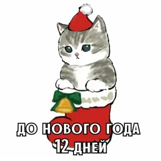 🎄 ДО НОВОГО ГОДА 12 ДНЕЙ chat, noël, nouvel an, chaussette, fêtes, mignon, russe whatsapp sticker