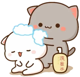 🚿 洗发水 Katze, Waschen, Blase, Kawaii, Cartoon, Shampoo telegram sticker