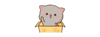 🫖 kucing, kartun, jari tengah, kotak, ilustrasi telegram sticker