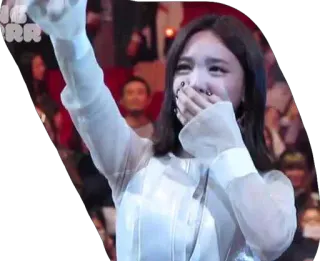 TWICE MEMES whatsapp stickers