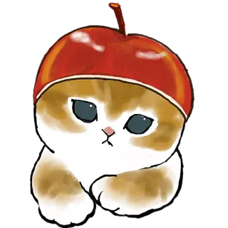 🍎 猫, 小猫, 苹果, 动物, 可爱, 宠物, 帽子 telegram sticker