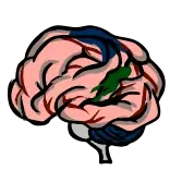 🧠