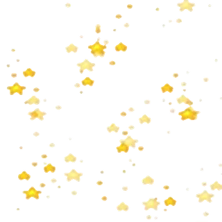 ✨